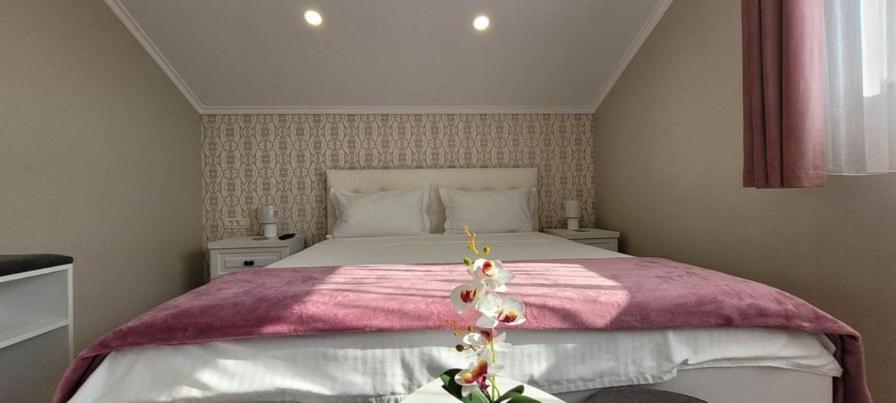 Casa Leahu Bed & Breakfast Baile 1 Mai Luaran gambar